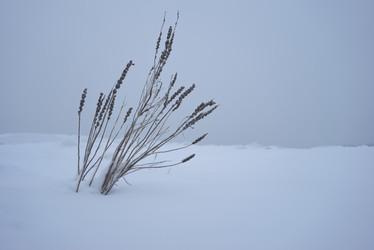 Similar image 21256557