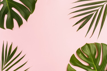 Similar image 21254967