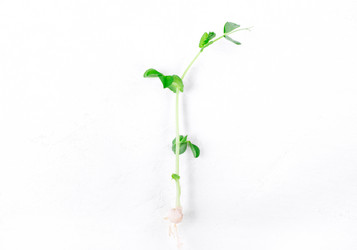 Similar image 21254312