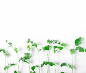 Similar image 21255455