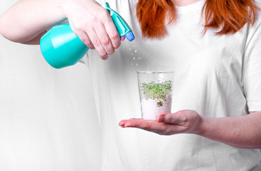 Similar image 21254313