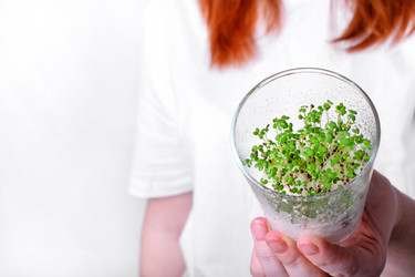 Similar image 21254316