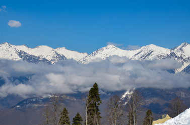 Similar image 21254321