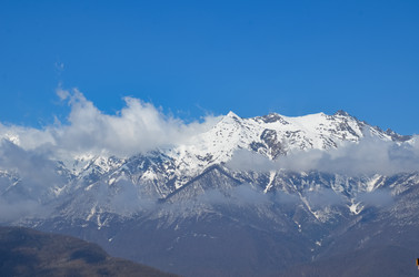 Similar image 21254322