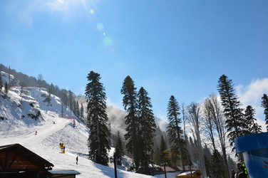 Similar image 21254334