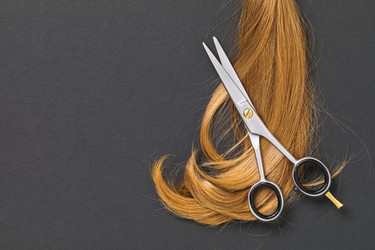 Similar image 21254354