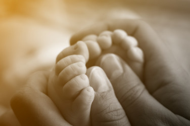 Similar image 21254508