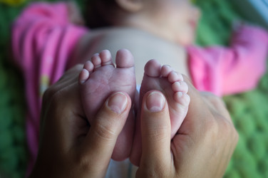 Similar image 21254510