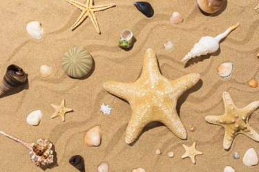 Similar image 21254397