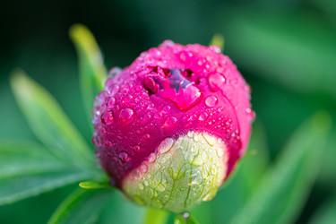 Similar image 21254519