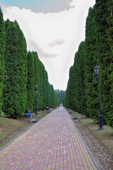 Similar image 21255469