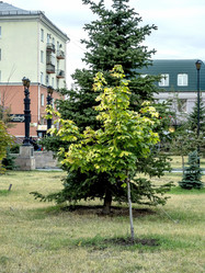 Similar image 21257329