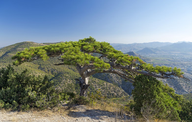 Similar image 21255476