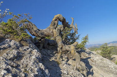 Similar image 21255477