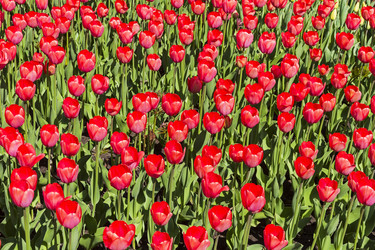 Similar image 21255482