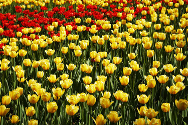 Similar image 21255485