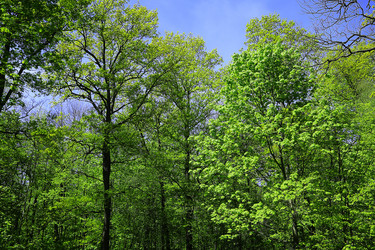 Similar image 21255488