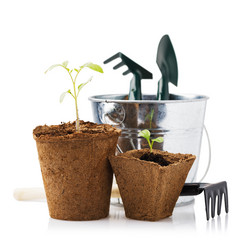 Similar image 21255007