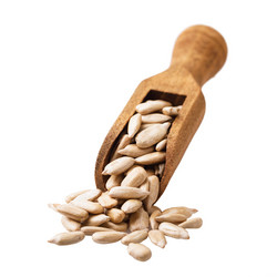 Similar image 21255016