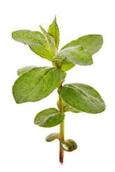 Similar image 21255215