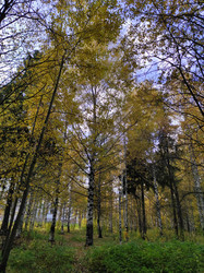 Similar image 21255433