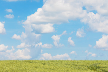 Similar image 21255058