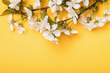 Similar image 21255069