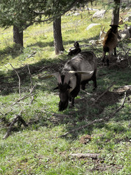 Similar image 21257201