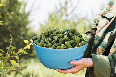 Similar image 21255183