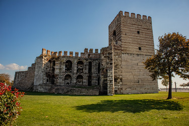 Similar image 21255679