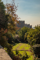 Similar image 21255492