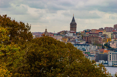 Similar image 21255495