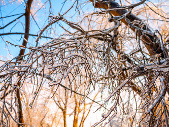 Similar image 21257343