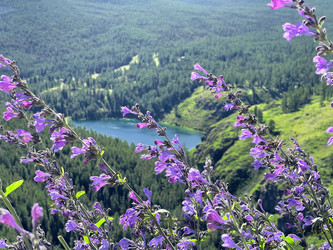 Similar image 21257215