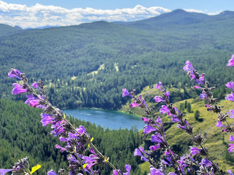 Similar image 21257216