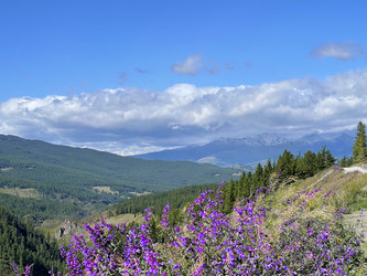 Similar image 21257221