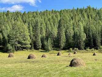 Similar image 21257222