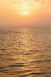 Similar image 21255777