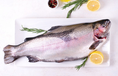 Similar image 21255496