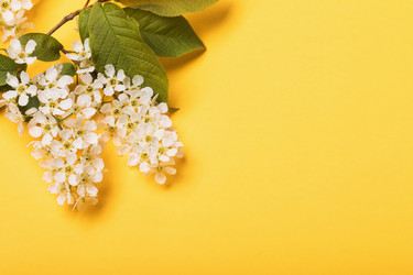 Similar image 21255826