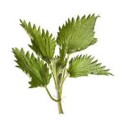 Similar image 21255863