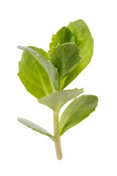 Similar image 21255867