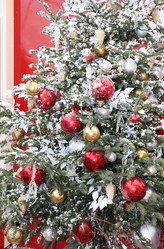 Similar image 21258143