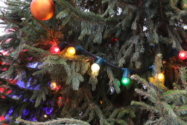 Similar image 21258148