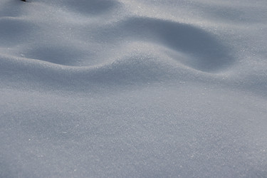 Similar image 21258158