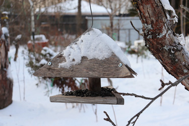 Similar image 21258161