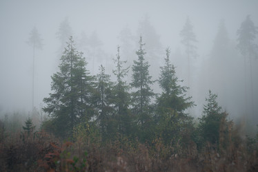 Similar image 21258185