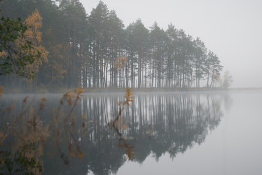 Similar image 21258187