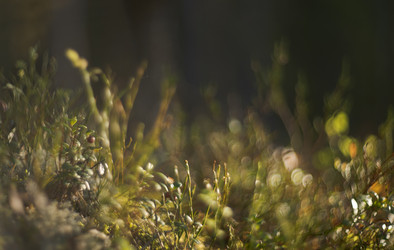 Similar image 21258188