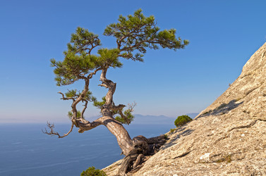 Similar image 21257383